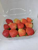 Apa Bedanya Strawberry Mencir Dan California